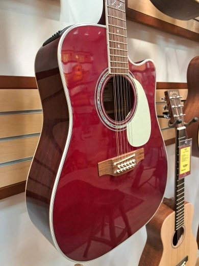 Takamine JJ325SRC-12 JOHN JORGENSON 2